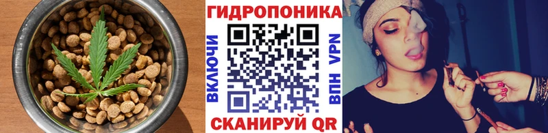 Еда ТГК конопля  Купить закладки  Ленинск-Кузнецкий 