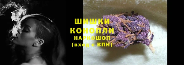 гашик Гусь-Хрустальный