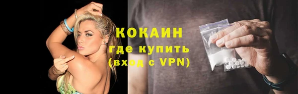 гашик Гусь-Хрустальный