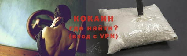 гашик Гусиноозёрск