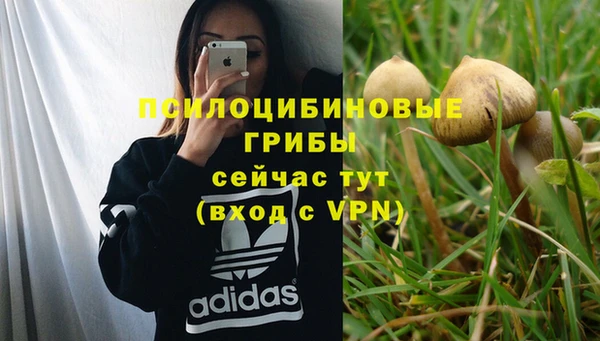гашик Гусь-Хрустальный
