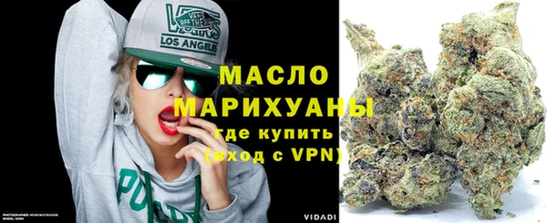 гашик Гусь-Хрустальный