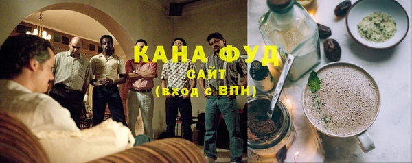 гашик Гусь-Хрустальный