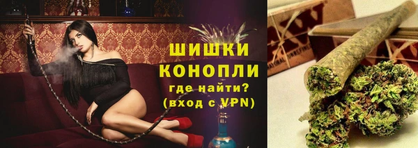 гашик Гусь-Хрустальный