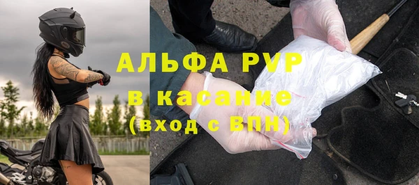 гашик Гусь-Хрустальный