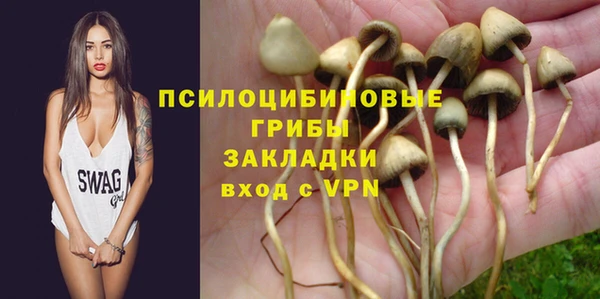 гашик Гусиноозёрск