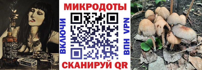 Псилоцибиновые грибы прущие грибы  Купить где  Ленинск-Кузнецкий 